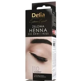 DELIA Gel Henna für Augenbrauen und Wimpern schwarz 15 ml