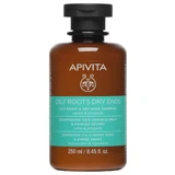 APIVITA Balancing Shampoo for Oily Roots & Dry Roots with Nettle & Propolis 250ml
