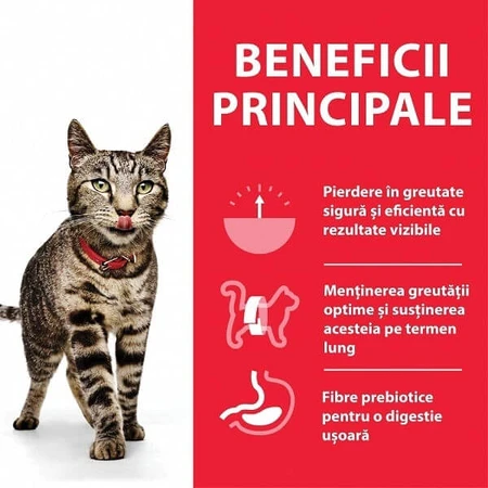 Hill's SP Feline Adult Pollo, 1,5 Kg