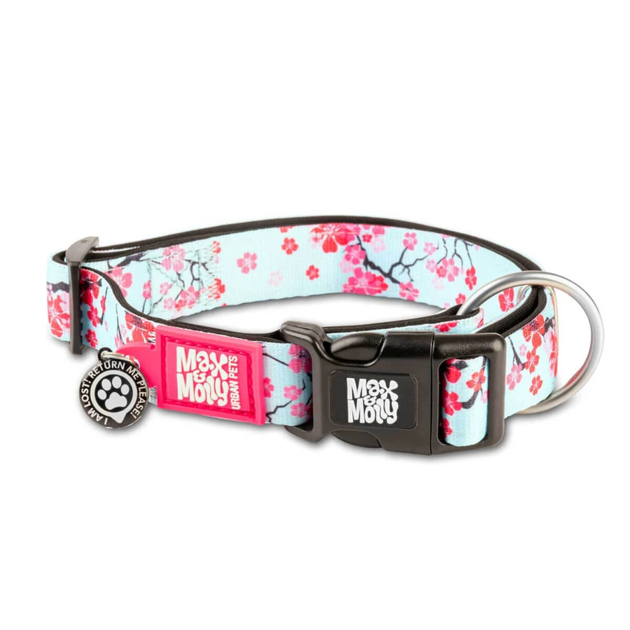 MAX & MOLLY Smart ID Cherry Bloom, collier pour chien, réglable, polyester, bleu et rose, boucle à ardillon, XS(22-35 x 1cm)