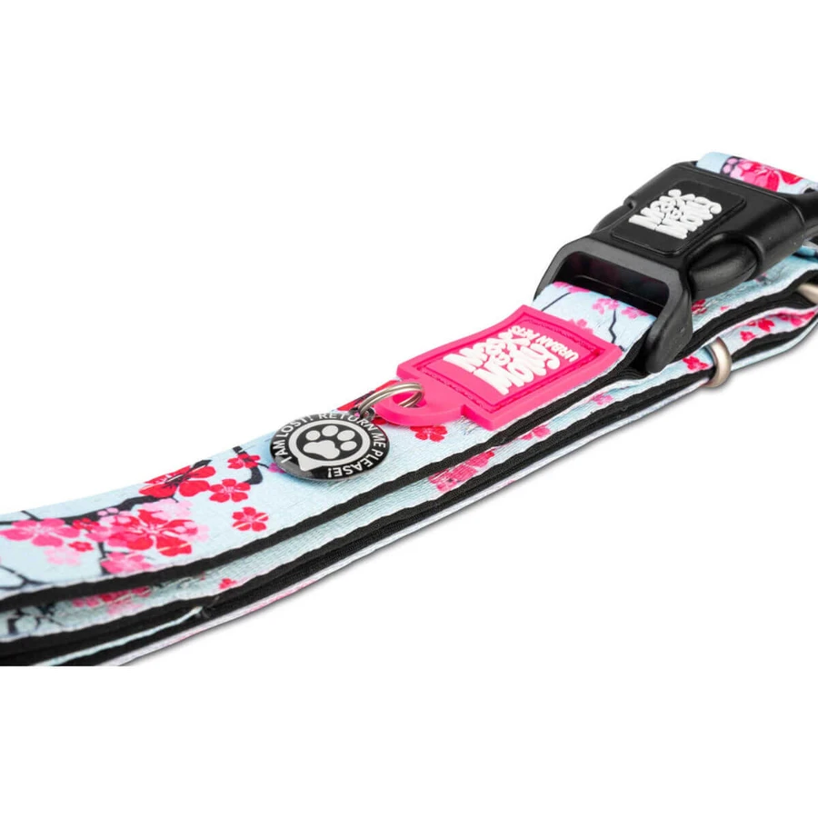 MAX & MOLLY Smart ID Cherry Bloom, collier pour chien, réglable, polyester, bleu et rose, boucle à ardillon, XS(22-35 x 1cm)