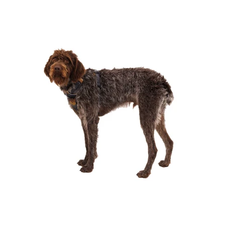 RUFFWEAR Front Rage Moonlight Mountains, ham prindere dublă(piept&spate) dresaj câini, ajustabil, reflectorizant, maro și gri, L-XL(81-107cm)