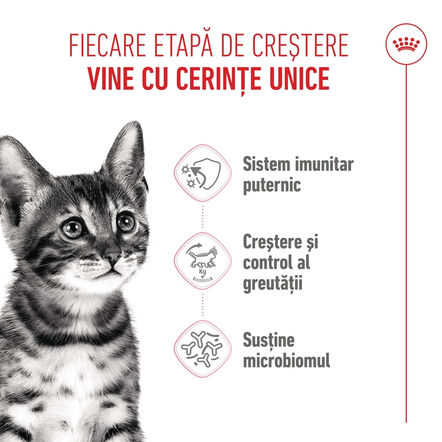 ROYAL CANIN Kitten Sterilized, dry food for junior sterilized cats, 2kg