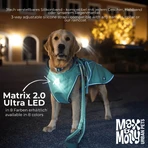 MAX & MOLLY Matrix Ultra Led, accessoire d'éclairage pour chien, noir