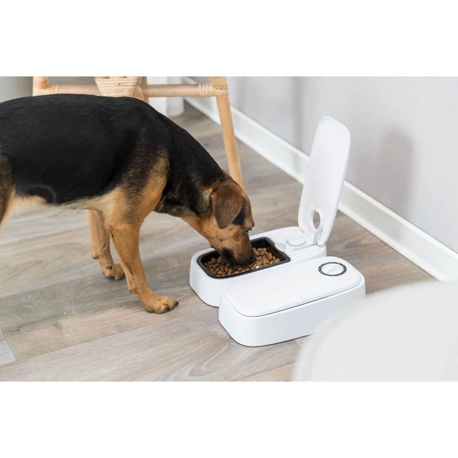 TRIXIE TX2, automatyczny karmnik dla psów, 2 prostokątne miski, programowalny, plastikowy, czarno-biały, S-L(0.6l, 27x7cm): ceny i cechy