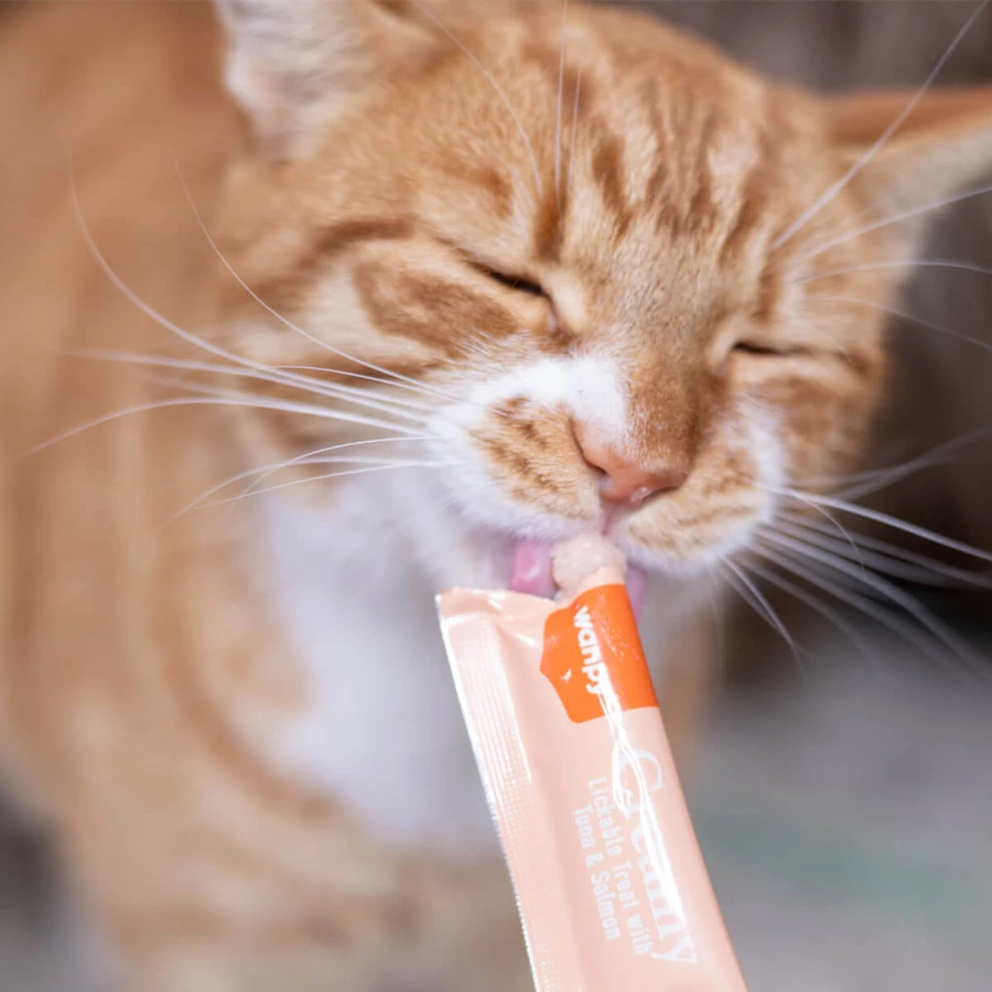 WANPY Creamy Treat, thon et saumon, sac de récompense pour chat, (purée), 700g