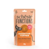 SCHESIR Functions Digestive Topper, pumpkin, sachet grain-free wet cat food, digestive system, (topping), 40g