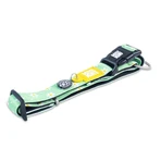 MAX & MOLLY Smart ID Daisies, Hundehalsband, verstellbar, Polyester, grün, Dreizackschnalle, M(34-55 x 2cm)