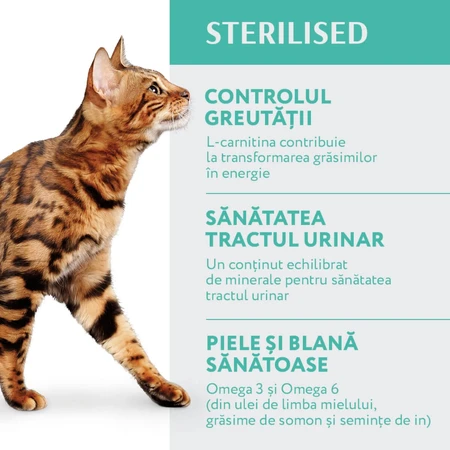 OPTIMEAL Sterilized, Kalkoen, droogvoer voor gesteriliseerde katten, 1.5kg