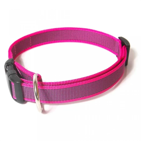 JULIUS-K9 Color & Gray, adjustable collar with handle dogs, nylon, 20mm x 27-42cm, pink with grey