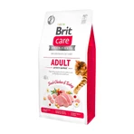 BRIT Care Adult Activity Support, kip en kalkoen, graanvrij droogvoer voor katten, hoge activiteit, 400g