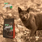NATURES PROTECTION Lifestyle Lifestyle Sterilized, Salmón y Krill, alimento seco sin cereales para gatos esterilizados, 400g