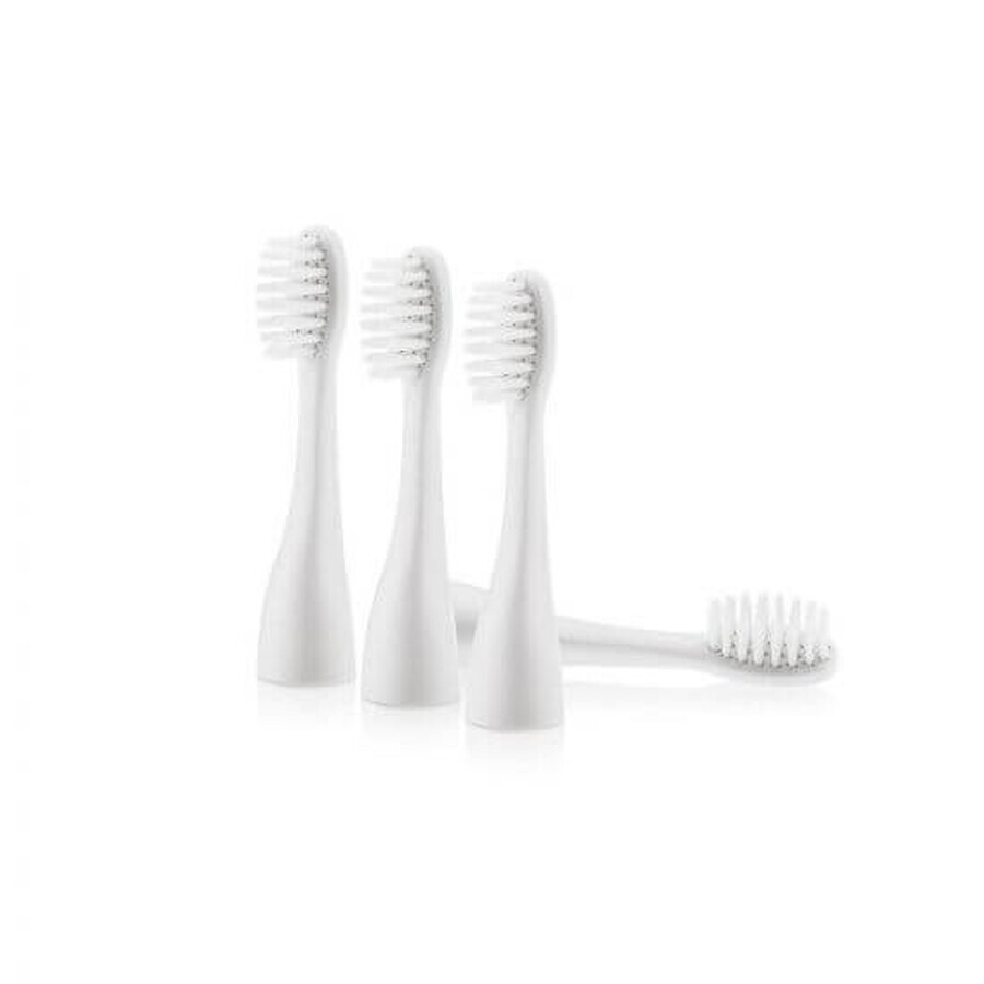 Porte-brosses à dents électriques, 4 pièces, Nuby