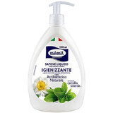 Sapun lichid igienizant, 1000 ml, Milmil