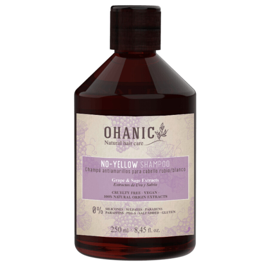 Shampooing pour l'entretien des cheveux blonds, 250 ml, Ohanic