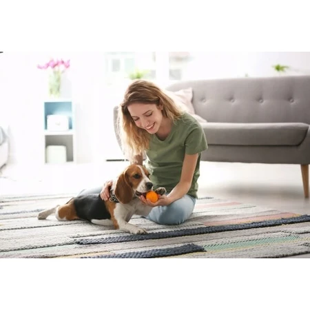 Dr Lucy Home 3, șampon pentru câini cu blana scurtă, netedă, 250 ml