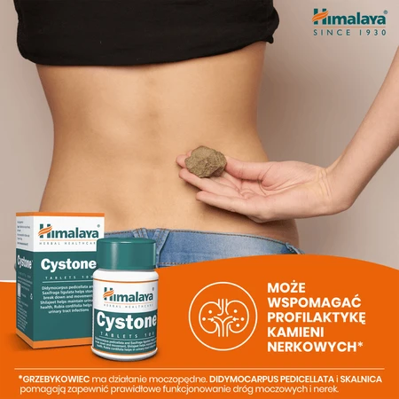 Set van 2 x Himalaya Cystone, tabletten, 100 stuks.
