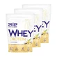 Lote de 3x ALE Whey Protein Sabor Vainilla