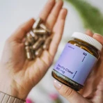 Wellbear Gheara diavolului 500 mg, capsule, 60 buc.