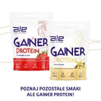 Set of 3 x ALE Gainer Protein Chocolate Flavor