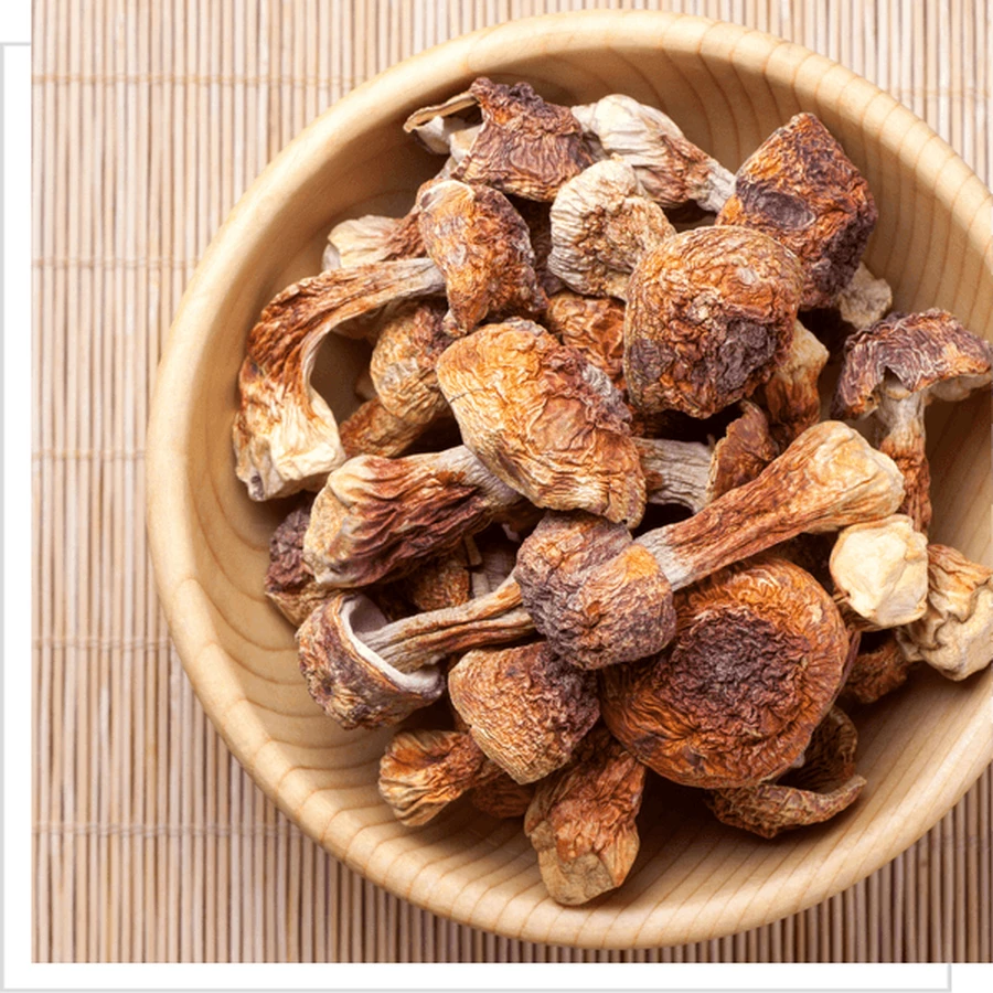 MYQO Agaricus - Amandelpaddenstoel, capsules, 90 st.
