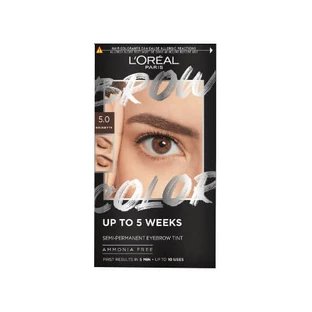 L OREAL BROW TINT 5.0 BRUNET