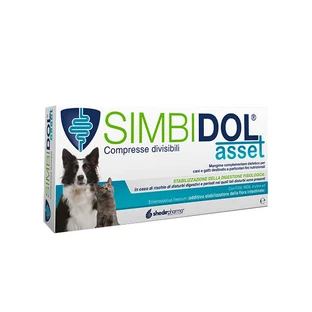 Simbidol Asset 120 Comprimés Divisibi