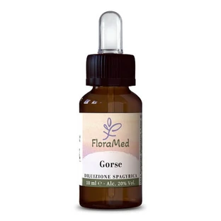 Gorse Mediterrane Bloemen 10ml