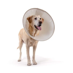 KVP ELIZABETHAN BIODEGRADABLE BETTER COLLAR TG. "S" 15-25 CM
