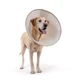 KVP ELIZABETHAN BIODEGRADABLE BETTER COLLAR TG. "S" 15-25 CM