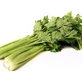 Selderij Vruchten 100 Gr