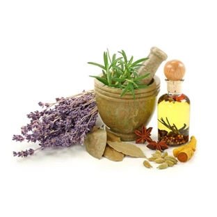 Psyllium Cuticule entière (ispagula) 100