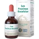 Les Fraxinus Excelsior Gouttes 50ml