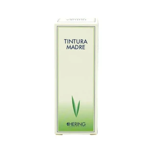 ECHINACEA ANGUSTIFOLIA TM 1L