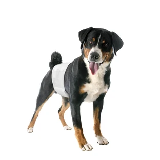 PANNOLINI FASC CANI MASC 1 12P