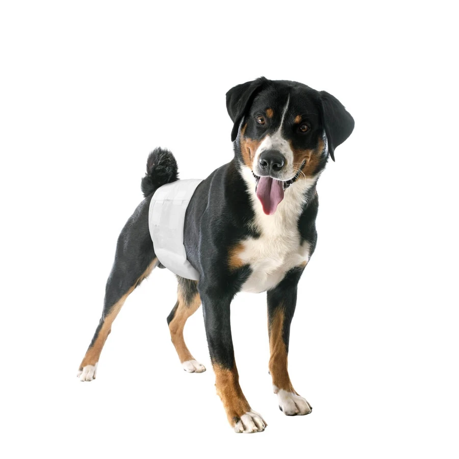 PANNOLINI FASC CANI MASC 1 12P