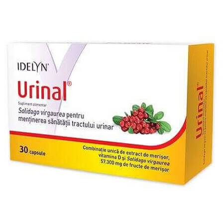 Idelyn Urinaal, 30 capsules, Walmark