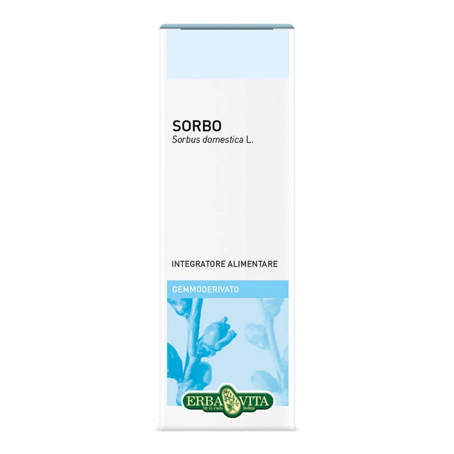 Rowan 50ml Gemmoderivatief Erbavita