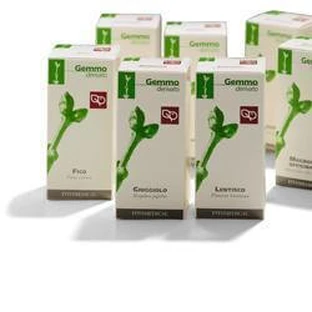 PAARDENKASTANJE 50ML MG