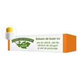 Lippenbalsam mit Catinaöl, Traubenkernen und Orange 4,8 g, Verre de Nature