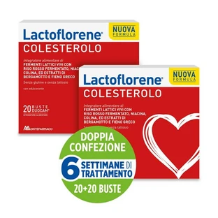 Lactoflorene Supplément Cholestérol Bipack Ferments Lactiques Riz Rouge Sachets