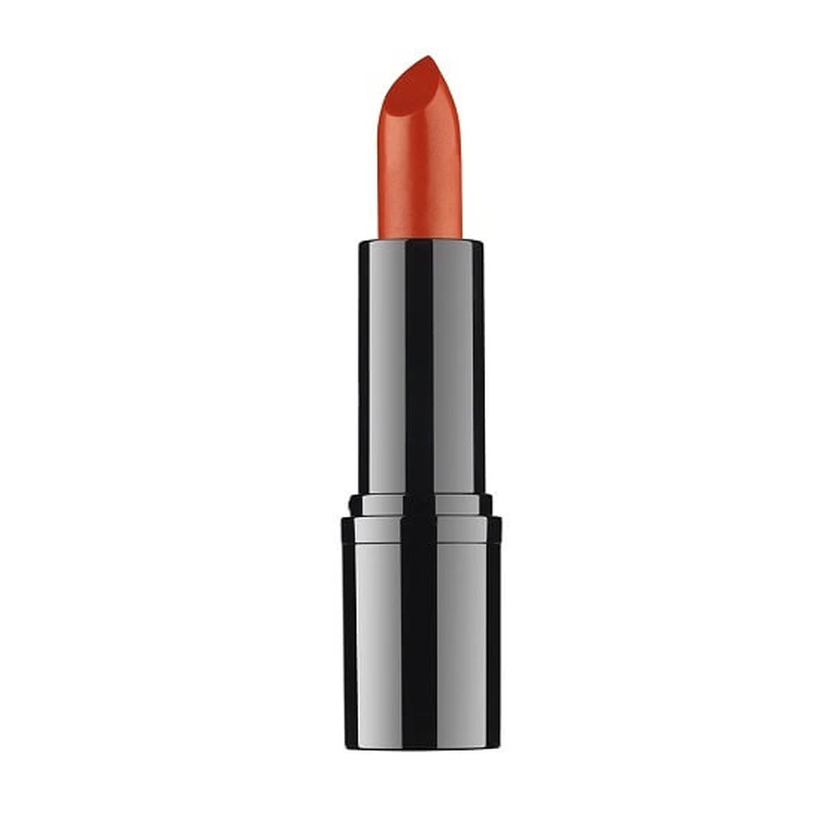 BARRA DE LABIOS PROFESIONAL DDP 13