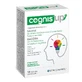 Cognis Up 10 pliculețe