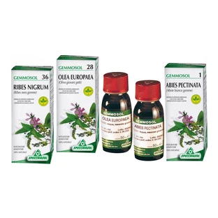 Castaño 1 DH Gems 50ml