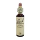 Bach Center Ess Clematis 20ml