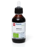 HEIDELBEER URTINKTUR BIO