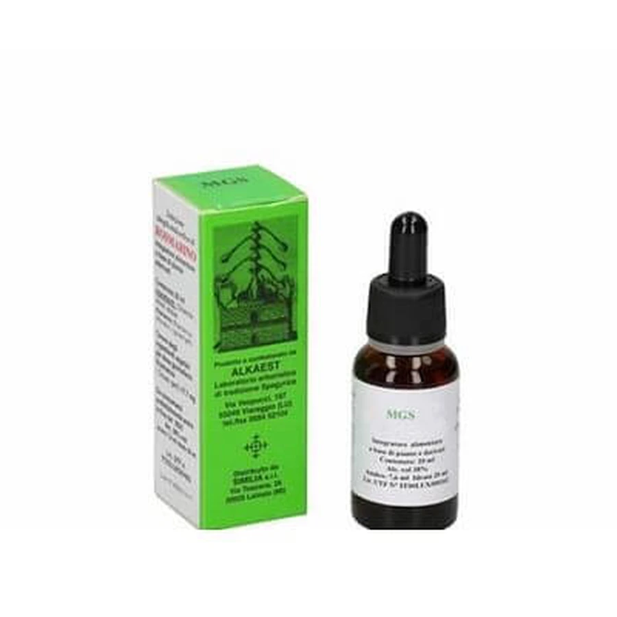 Mgs22 Kanadische Weinrebe Glycerin Mazerat Spg 20 Ml