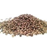 Chasteberry in 100 g dried fruits