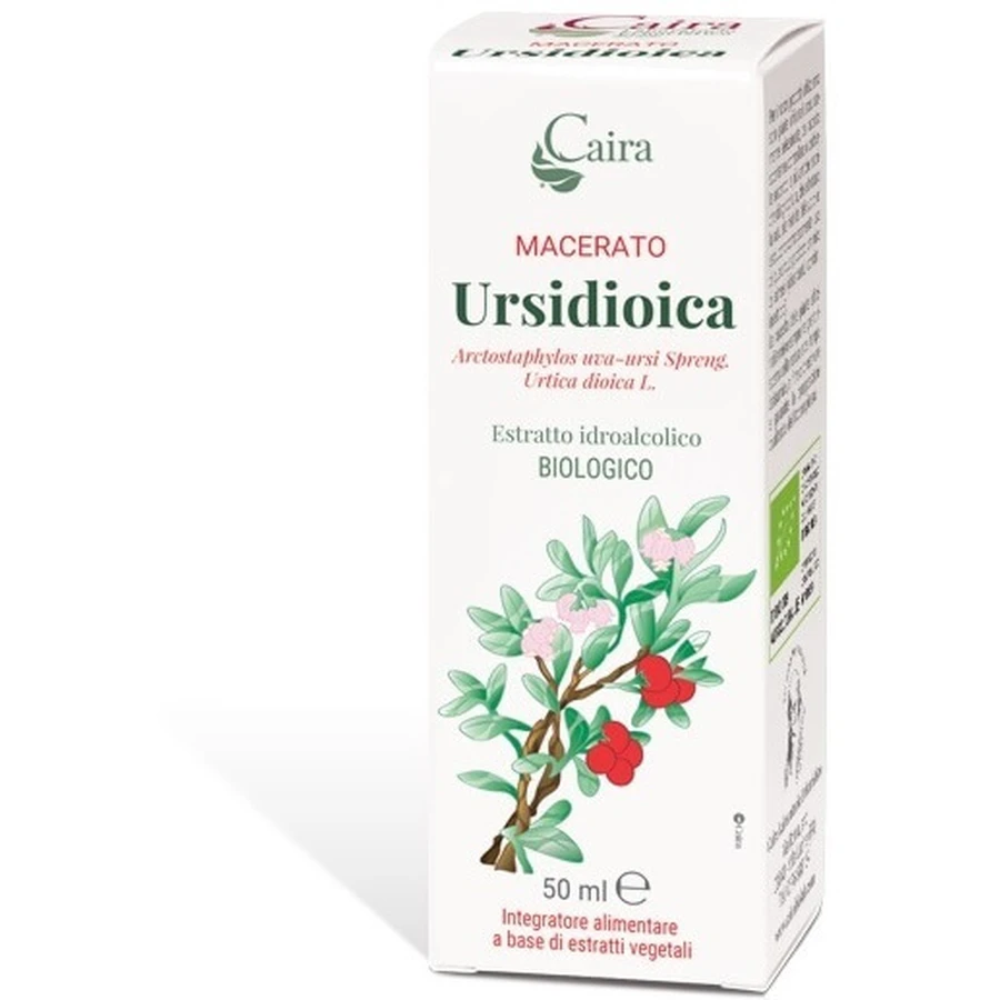 Ursidioica Maceraat Caira Gtt