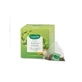 Filtroscrigno Groene Thee Matcha Gember 15 Zakjes